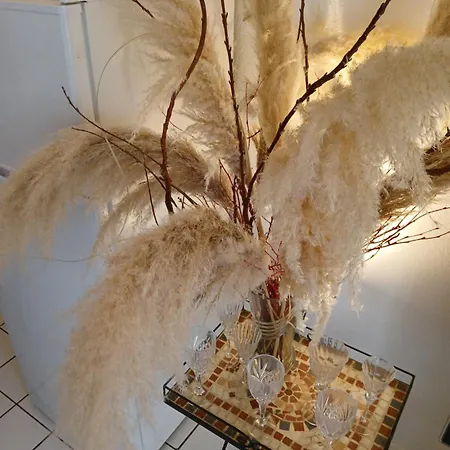 Comme A La Maison Chez Dominnique Coquet T2 Avec Jardin Homme Chaleureux