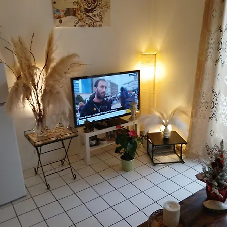 Comme A La Maison Logez Chez Domi Coquet T2 Avec Jardin