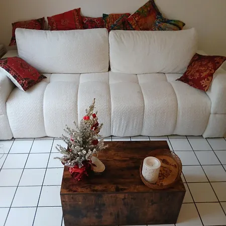 Homestay Comme A La Maison Logez Chez Domi Coquet T2 Avec Jardin Toulouse