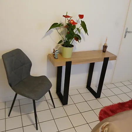 Pansiyon Comme A La Maison Chez Dominnique Coquet T2 Avec Jardin Homme Chaleureux