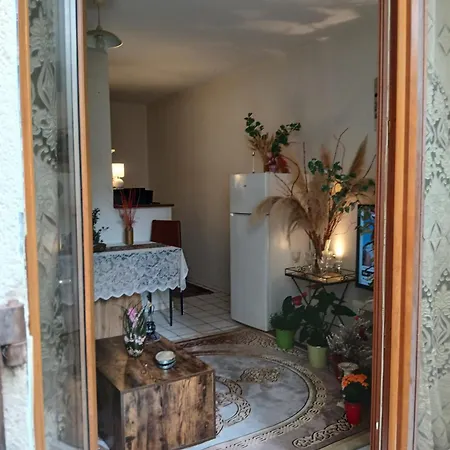 Homestay Comme A La Maison Logez Chez Domi Coquet T2 Avec Jardin Toulouse