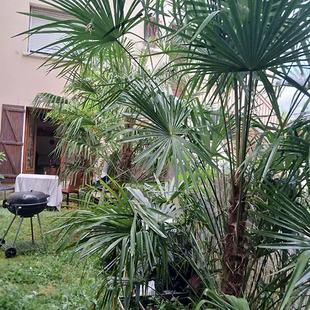 Privatunterkunft Comme A La Maison Chez Domi Coquet T2 Avec Jardin Accueil Chaleureux *