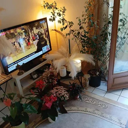 Comme A La Maison Chez Dominnique Coquet T2 Avec Jardin Homme Chaleureux Pansiyon Toulouse