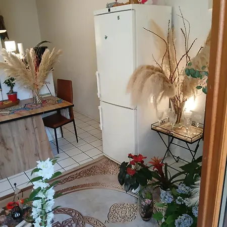 Comme A La Maison Chez Domi Coquet T2 Avec Jardin Accueil Chaleureux *