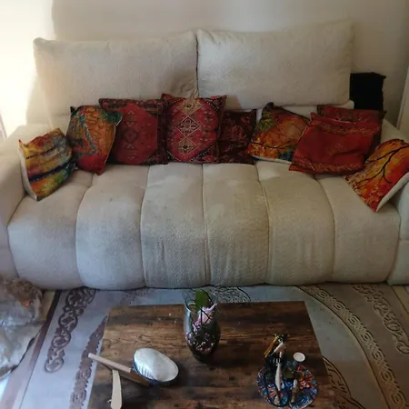 Séjour chez l'habitant Comme A La Maison Chez Domi Coquet T2 Avec Jardin Accueil Chaleureux Toulouse