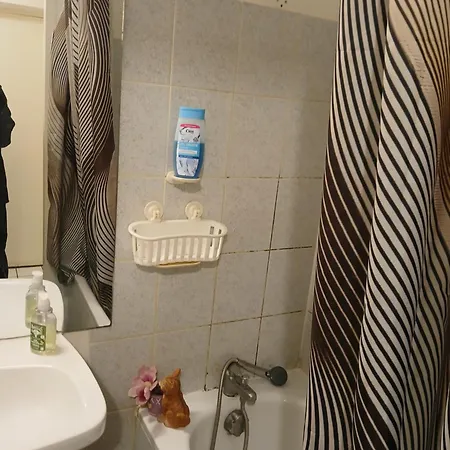 Alloggio in famiglia Comme A La Maison Chez Domi Coquet T2 Avec Jardin Accueil Chaleureux Tolosa