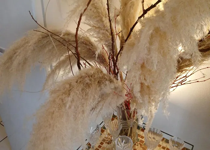 Comme A La Maison Chez Domi Coquet T2 Avec Jardin