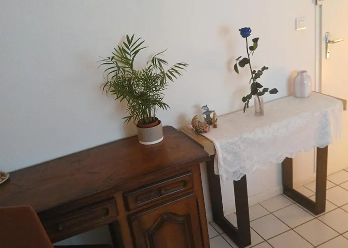 Comme A La Maison Chez Domi Coquet T2 Avec Jardin * Tolosa