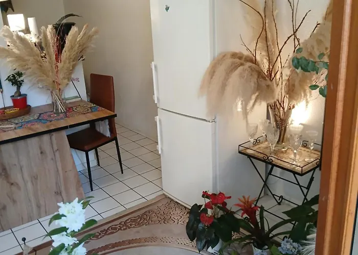 Comme A La Maison Chez Domi Coquet T2 Avec Jardin *