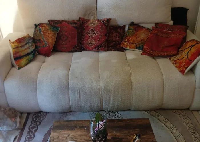 Quarto em Acomodações Particulares Comme A La Maison Chez Domi Coquet T2 Avec Jardin Toulouse