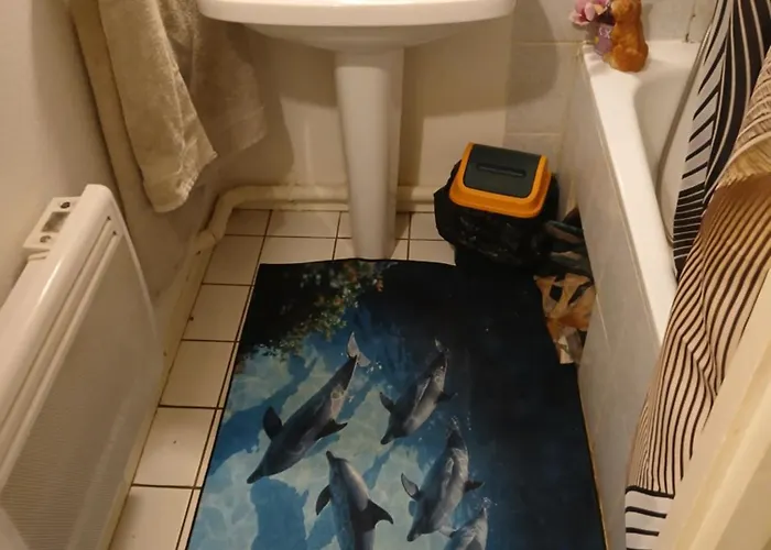 Comme A La Maison Chez Domi Coquet T2 Avec Jardin * Toulouse