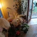 Comme A La Maison Chez Domi Coquet T2 Avec Jardin Rum i privatbostad *