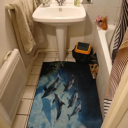 Comme A La Maison Chez Domi Coquet T2 Avec Jardin Accueil Chaleureux * Toulouse