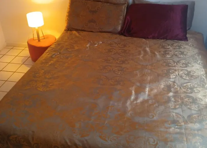 Comme A La Maison Chez Domi Coquet T2 Avec Jardin בית אירוח *