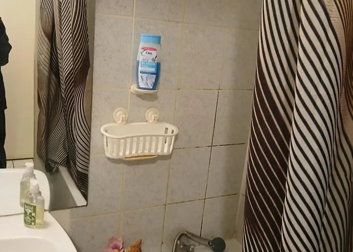 בית אירוח Comme A La Maison Chez Domi Coquet T2 Avec Jardin טולוז